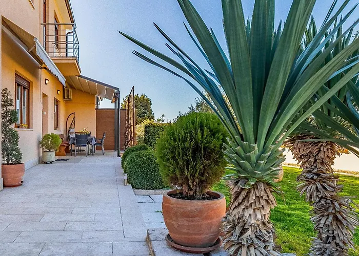 Apartment Big With Free Parking