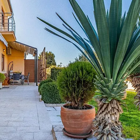 Appartement Big With Free Parking